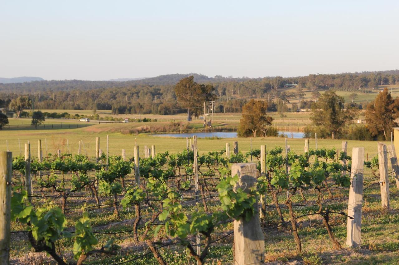 Blueberry Hill Vineyard Stay Rothbury Exterior photo