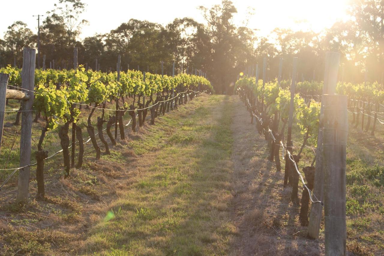 Blueberry Hill Vineyard Stay Rothbury Exterior photo