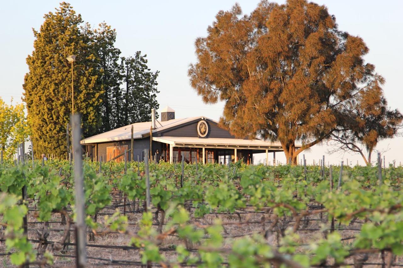 Blueberry Hill Vineyard Stay Rothbury Exterior photo