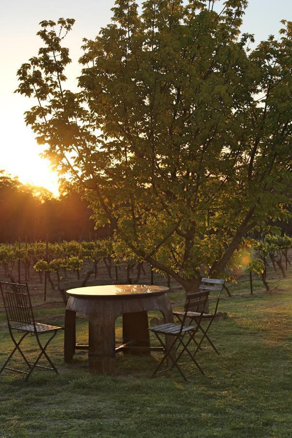 Blueberry Hill Vineyard Stay Rothbury Exterior photo