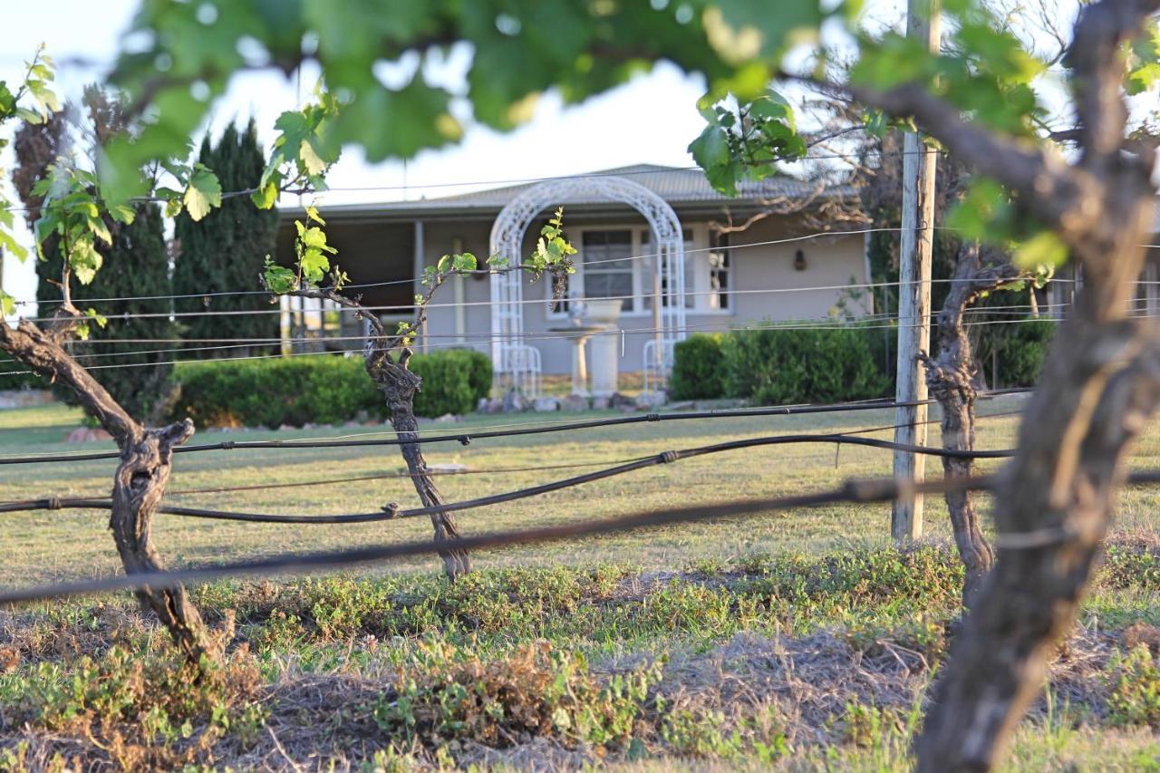 Blueberry Hill Vineyard Stay Rothbury Exterior photo
