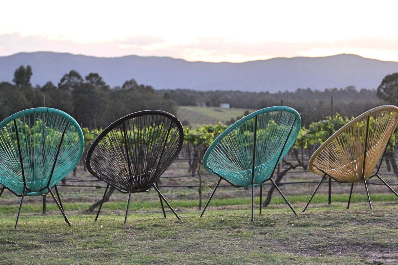 Blueberry Hill Vineyard Stay Rothbury Exterior photo